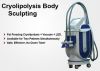 Sell Cryolipolysis Machine