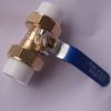 Sell Brass Valves with double union