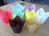 Sell tulip cups in 8 plain colors