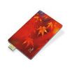 card usb flash drive(C-08)