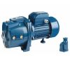 TB-JDW  SERIES SELF-PRIMING PUMP