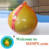 Sell pomelo fresh fruits