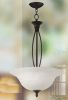 chandelier lamp, down light, ceiling light, wall light, pendant light, LED