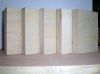 Sell Birch film faced plywood