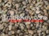 CASHEW NUT (NEW CROP 2014)