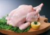 Sell Whole Chicken Halal / Regular