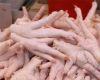 Export Chicken Paw | Chicken Feet Suppliers | Poultry Feet Exporters | Chicken Feets Traders | Processed Chicken Paw Buyers | Frozen Poultry Paw Wholesalers | Low Price Freeze Chicken Paw | Best Buy Chicken Paw | Buy Chicken Paw | Import Chicken Paw | Chi