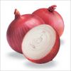 Sell  Fresh red onion