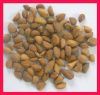 Sell 2011 new year dehydrated garlic clove