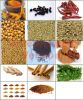 Spices from India