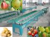 Sell fruit grading machine made of stainless steel