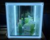 Sell Led Acrylic Showcase Led Magic Box