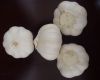 Qingshan fresh white garlic