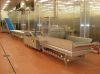 Sell Used Holand NON Quick-freeze Strawberry Production Line