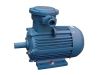 YB2 Series Explosion-Proof Three Phase Induction Motor