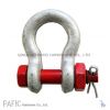 Drop Forged High Tensile Screw Pin/Safety G-209/G-2130 Anchor Shackle