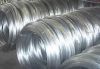 Sell Galvanized Iron Wire