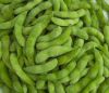 IQF Frozen Soybeans (Edamame)