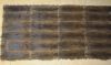 muskrat fur plate