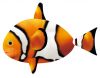 Sell Air swimmers r/c flying clownfish/shark