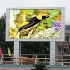 Sell  outdoor LED display screen