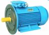 AIR Series Three Phase Induction Motor