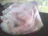 Selling froozen rabbit meat and live-rabbits in Jamaica
