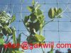 Sell Plant Support Netting