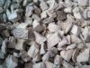 Sell Frozen Oyster Mushroom