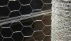 Sell Hexagonal Wire Netting