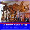 Sell museum indoor dinosaur skeleton of Triceratops