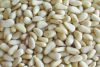 Sell Pine Kernels 550-750 count