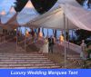 6m X 6m Wedding Tent (marquee wedding party gardent pvc tent)