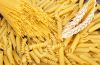 Organic  wheat flour  products  Pasta Spagetti