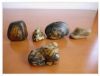 Sell suiseki-viewing stone-natural stone craft-stone art and collection