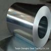 Stainless Steel Coil 304 304L 321 316 316L