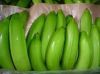 Cavendish Bananas