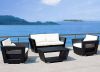 Sell Modern Leisure Rattan sofa sets garden furniture PF-106R