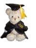 Sell graduation teddy bear plush toy