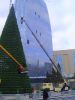 Sell Giant artificial Christmas trees up to 120m for outdoor use