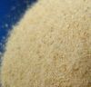 brewer yeast