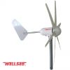 WS-WT 300W WELLSEE 6 leaves Wind Turbine/ A horizontal axis wind turbi