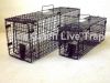 Folding Humane Cage Trap