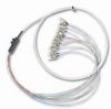Sell Ribbon optic fiber pigtail FC/UPC , SM, DX