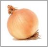 Sell Sweet YEllow Onion