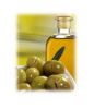 Sell Organic Olive Oil from Argentina