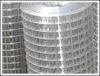 Sell Welded Wire Mesh