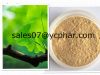 Sell Ginkgo Biloba Leaf Extract(Gingo flavone )