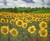 Export Refined Sunflower Oil | Pure Sunflower Oil Suppliers | Refined Sunflower Oil Exporters | Refined Sunflower Oil Traders | Refined Sunflower Oil Buyers | Pure Sunflower Oil Wholesalers | Low Price Sunflower Oil | Best Buy Sunflower Oil | Buy Sunflowe