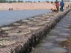 Sell Gabion Box